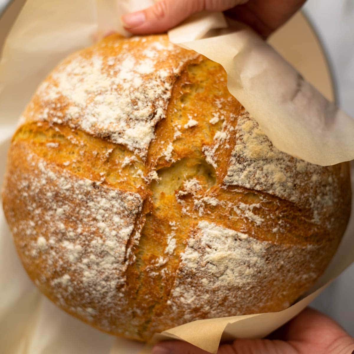 https://www.lexasrecipes.com/wp-content/uploads/2022/01/Dutch-Oven-Semolina-Bread-Featured-Image-1200px.jpg